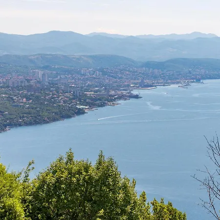 Pet Friendly In Matulji With Sauna